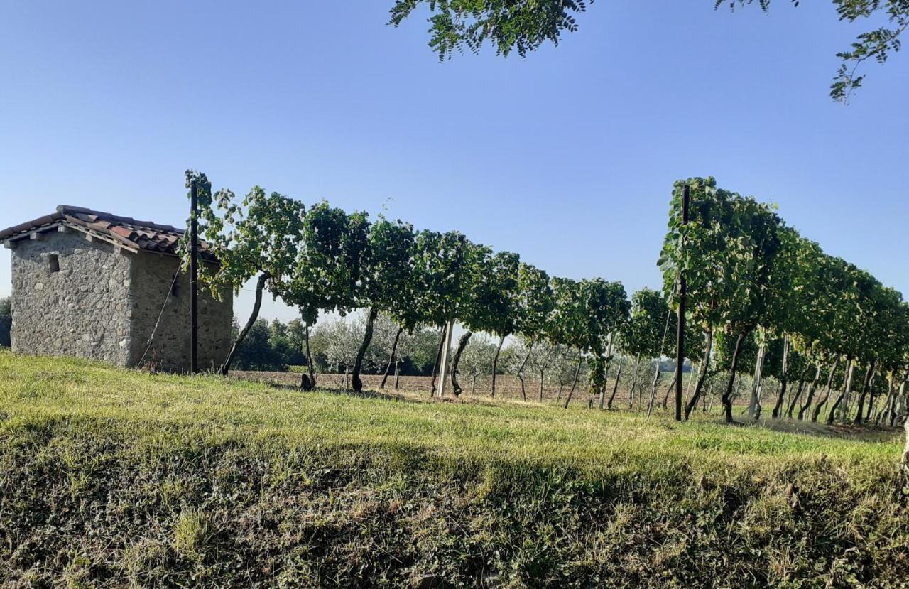 Vicolo Del Nido B&B Paderno Franciacorta Eksteriør billede