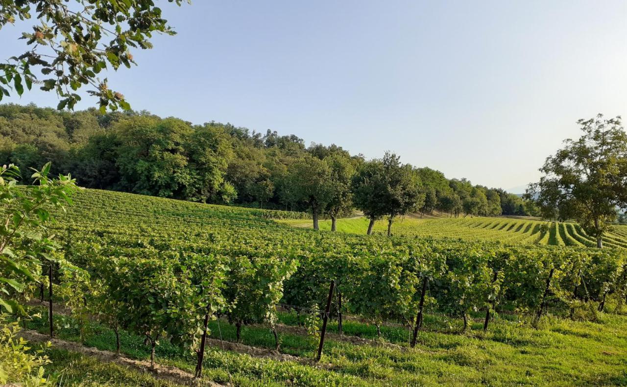 Vicolo Del Nido B&B Paderno Franciacorta Eksteriør billede